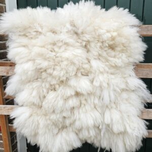 Alpaca witte vacht 01