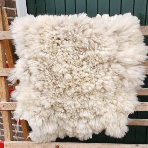 Alpaca witte vacht 02