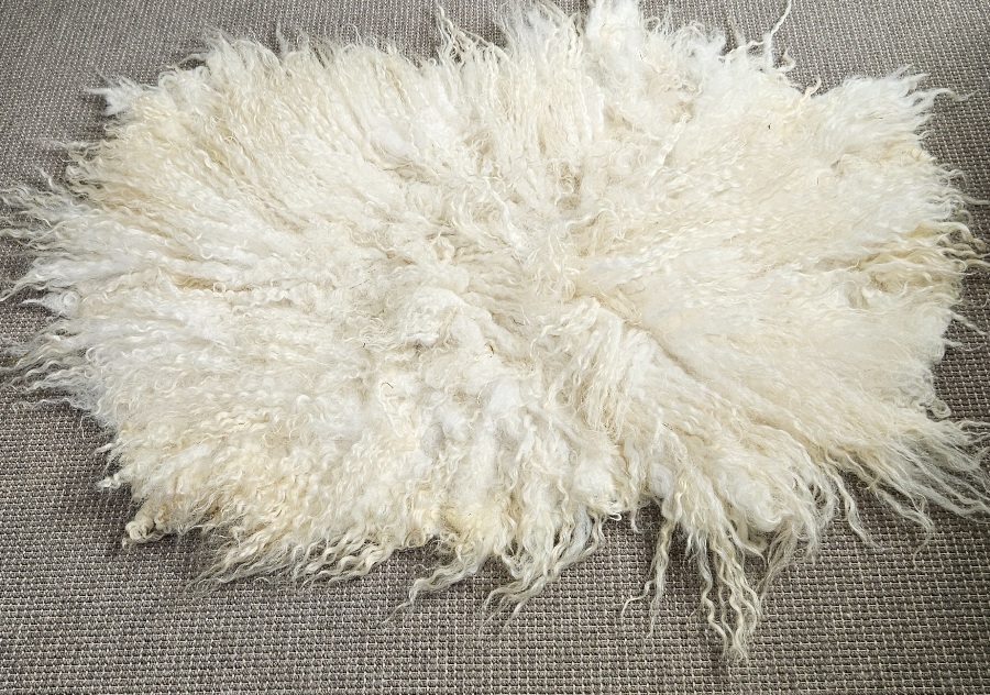 Walliser Schwarznase vacht, 105 x 70 cm - Afbeelding 3