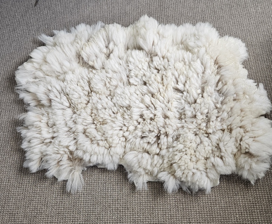 Alpaca witte vacht 02 - Afbeelding 2