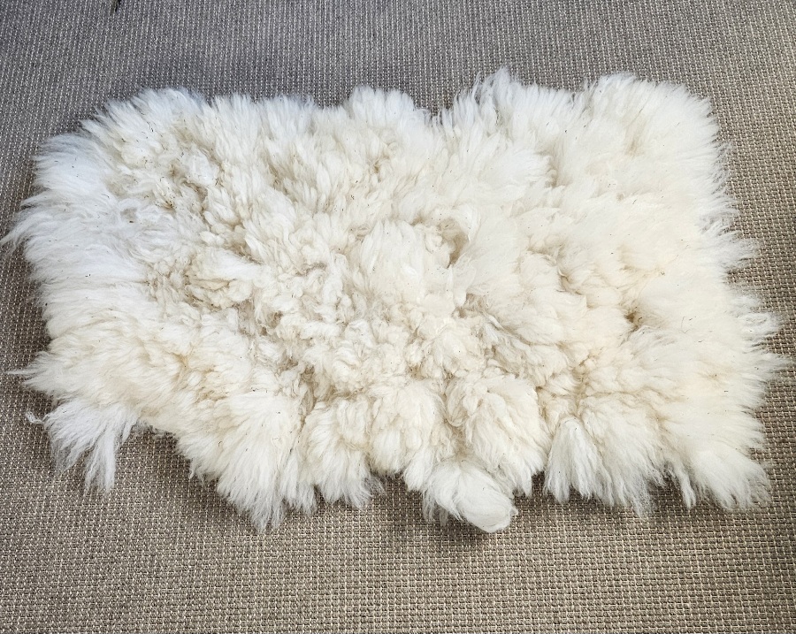 Alpaca witte vacht 01 - Afbeelding 2